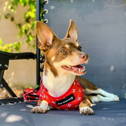 Chewy Vuitton - Harness & Leash Red Set