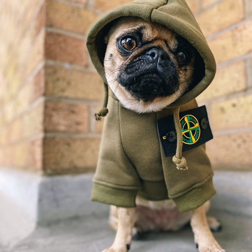 Dog stone island jacket on sale